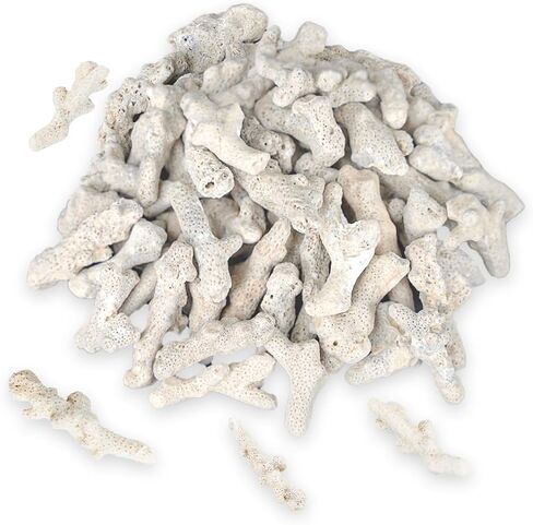 Fish Tank Filter Crushed Coral for Freshwater Aquarium, Material Pond Filter Media to stabilize Raise ph in Freshwater Fish Tank Filter Medi Reusable Crushed corrals (500g/1.1lb) in Saudi Arabia