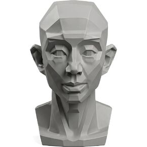 Planar Head Model Drawing Mannequin Artists Learn Planes of Face Human Manikin Head for Medical and Artistic Drawing Skecthing Painting Small Head Drawing Figure Mannequin (Female 4.5 in) in Kuwait