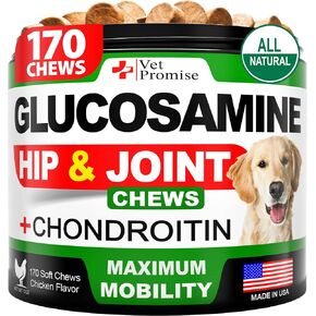 Glucosamine Hip & Joint Supplement for Dogs - 250 Chews with Chondroitin in Kuwait
