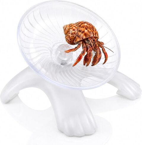 Hermit Crab Wheel Silent Running Exercise Wheel in Kuwait