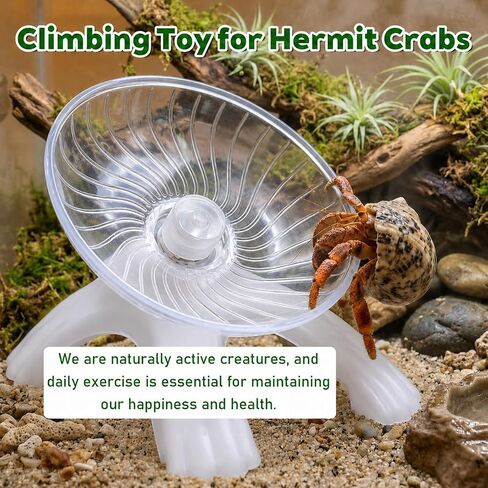 Hermit Crab Wheel Silent Running Exercise Wheel in Kuwait