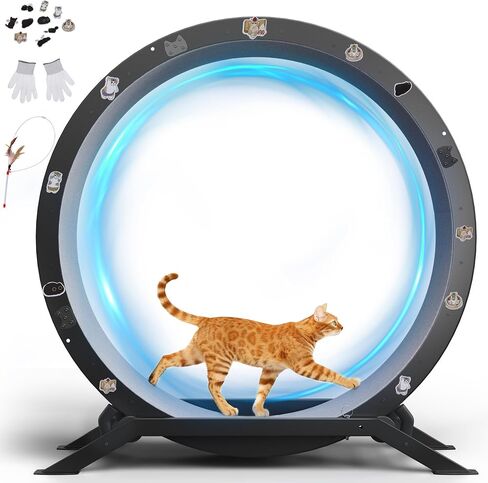 GTPLAYER Cat Wheels, 40" Diameter, Large Cat Exercise Wheel for Indoor Cats cat Treadmill Metal with Detachable Carpet & Teaser/Stickers, Ultra-Quiet Scroll Wheel with Latch, Safe and Stable, Grey in Kuwait