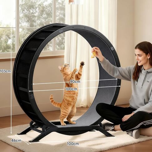 GTPLAYER Cat Wheels, 40" Diameter, Large Cat Exercise Wheel for Indoor Cats cat Treadmill Metal with Detachable Carpet & Teaser/Stickers, Ultra-Quiet Scroll Wheel with Latch, Safe and Stable, Grey in Kuwait