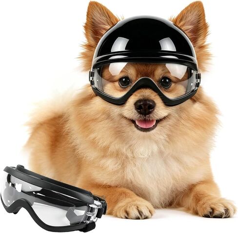 NAMSAN Dog Helmet for Small Dogs Cats, XS Pet Helmets with Sunglasses Outdoors Cycling Riding, Dog Goggles Helmets with Ear Holes, Pet Photoshoot Prop for Outdoors Holiday Cosplay, Black in Saudi Arabia