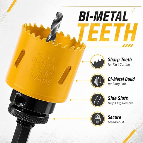 KATA 12PCS Hole Saw Kit 3/4"-2-1/2" (19-64mm) Hole Saw Set with Mandrels Hex Key, Ideal for Soft Wood,PVC Board, Plywood, Drywall Drilling in Saudi Arabia