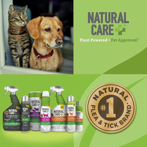 Natural Care Flea & Tick Carpet Powder, Flea Carpet Treatment, 8.1oz in Kuwait