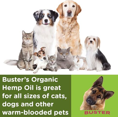 Buster's Hemp Oil for Dogs & Cats, Calm, Joint, Coat, 2-Pack 60ml in Kuwait