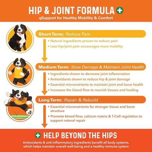 Bernie's Healthy Hips, Hip and Joint Supplement for Dogs, 90 Ct Soft Chews in Kuwait