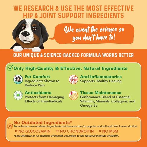Bernie's Healthy Hips, Hip and Joint Supplement for Dogs, 90 Ct Soft Chews in Kuwait