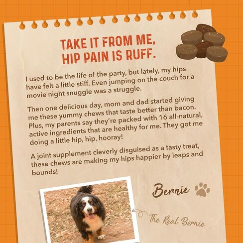 Bernie's Healthy Hips, Hip and Joint Supplement for Dogs, 90 Ct Soft Chews in Kuwait