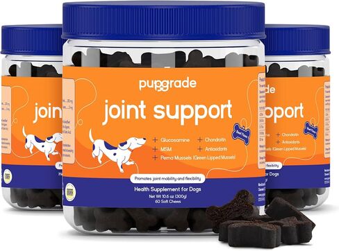 PupGrade Joint Support for Dogs, Beef Flavor - 60 Soft Chews in Kuwait