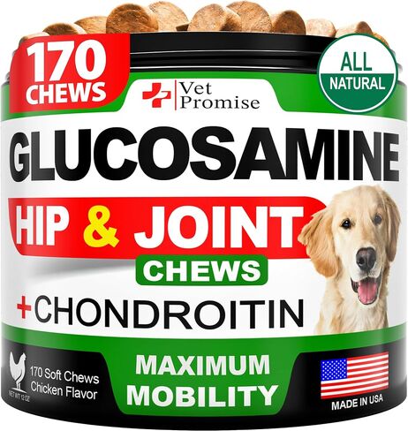 Glucosamine Hip & Joint Supplement for Dogs - 250 Chews with Chondroitin in Kuwait
