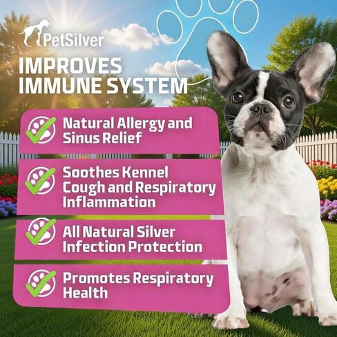 PetSilver Immune Support, Respiratory Nebulizer Solution, USA, 16 fl oz in Saudi Arabia