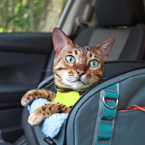 OutdoorBengal Dakar™ Cat Car Seat for Center Console, Pet Car Bed + Carrier in Kuwait