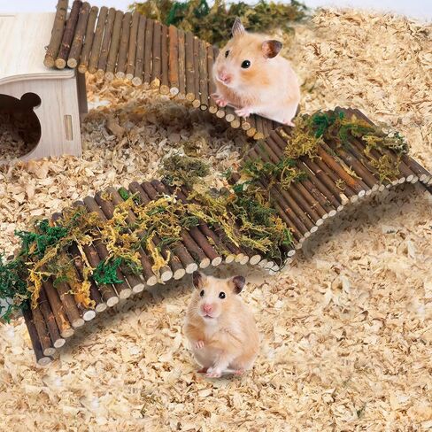 PIVBY Hamster Bridge Wooden Mouse Ladder Natural Rat Chew Rodents Toys for Chinchillas Guinea Pigs Hamster Mouse Rat Small Animal (2Pack) in Kuwait