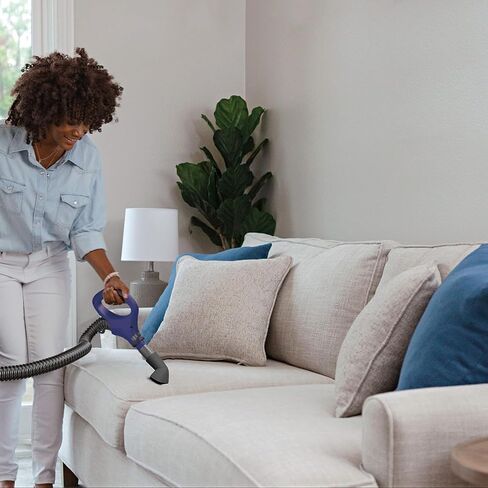 مكنسة Shark Navigator Swivel Pro الكاملة المستقيمة NV150 مكنسة كهربائية بدون كيس قابلة للرفع للسجاد والأرضيات الصلبة ومضادة للحساسية (متجددة) in Kuwait