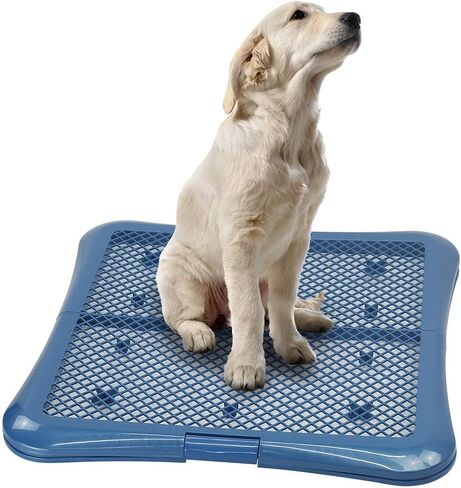 petphabet Training Pad Holder Floor Protection Dog Pad Holder Mesh Training Tray (L-24"x24")… in Kuwait