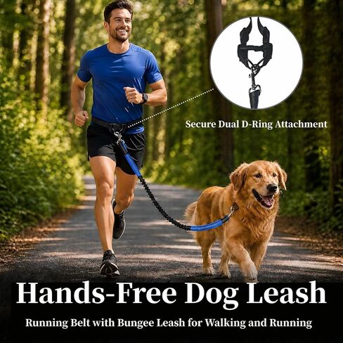 Hands Free Dog Leash with Running Belt for Walking, Running and Hiking in Kuwait