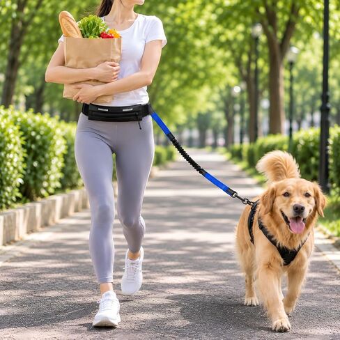 Hands Free Dog Leash with Running Belt for Walking, Running and Hiking in Kuwait