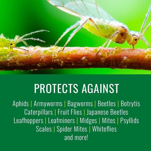 Natria 706250A Neem Oil Spray for Plants Pest Organic Disease Control, for Insects, 24-Ounce, Ready-to-Use in Saudi Arabia