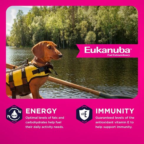 Eukanuba Small Dog Breed Adult Dry Dog Food, 4.5 lb Bag in Kuwait