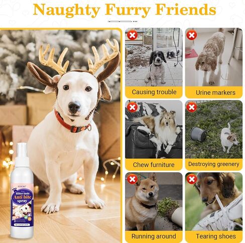 Bitter Apple Spray for Dogs, No Chew Spray for Dogs to Stop Chewing, Effective Indoor/Outdoor Deterrent Training Corrector for Anti-Scratch, Anti Marking, Furniture Protection (1 Pcs) in Saudi Arabia