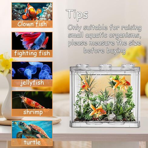 QTLCOHD 4 Pack Small Betta Fish Tank, 0.6 Gallon Mini Aquarium Tank in Saudi Arabia