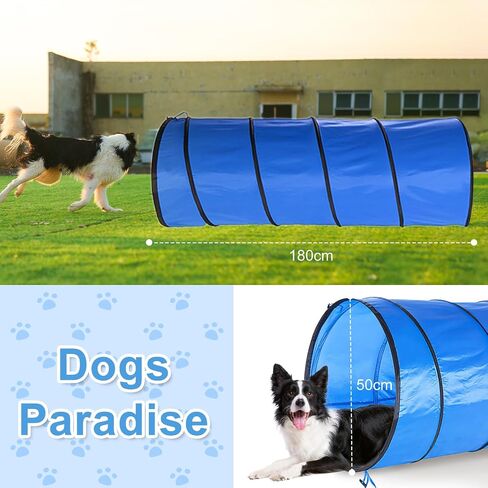 Dog Agility Tunnel 2-Pack 71"x22" with Stakes & Stop Grid for Training in Kuwait