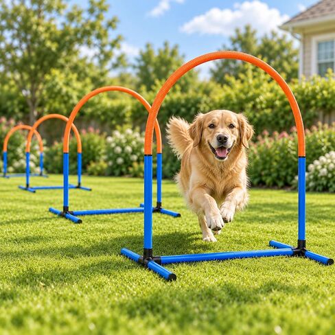 Dog Agility Arch Tunnel Set with Hoops & Ground Stakes in Kuwait