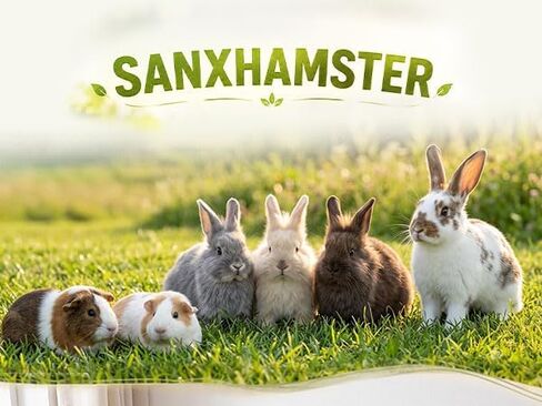 4-in-1 Rabbit Litter Box with Hay Feeder, Bunny Toilet in Saudi Arabia