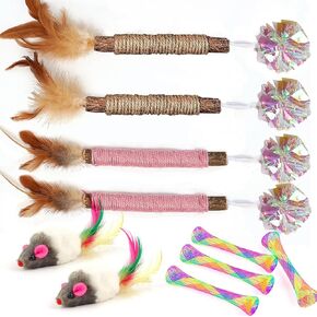 Catnip Chew Toys for Cats, Matatabi Silvervine Sticks, Mouse Cat Toy, Cat Crinkle Balls, Cat Springs for Indoor Cats, Interactive Toys for Cats and Kittens 10PCS