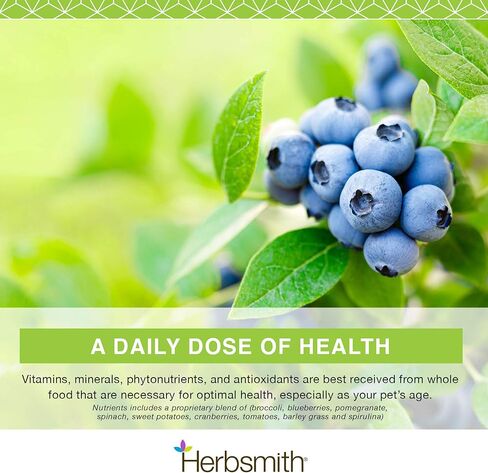 Herbsmith Nutrients Superfood Dog Multivitamin الذي يحتوي على فيتامينات ومعادن من الأطعمة الكاملة يعزز الطحن أو المواد الخام التي تصنعها بنفسك مع مضادات الأكسدة للجراء وكبار السن - 6.5 أونصة in Saudi Arabia