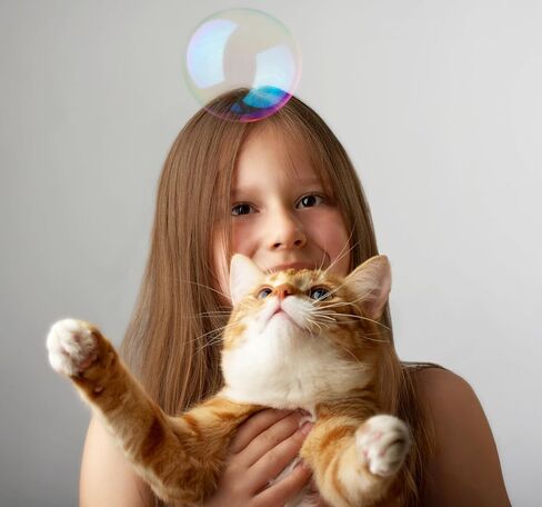 Purrin’ Good Bubbles, لعبة القطط، 9.5 أونصة سائلة من محلول الفقاعات المملوء بالنعناع البري النباتي الطبيعي in Kuwait