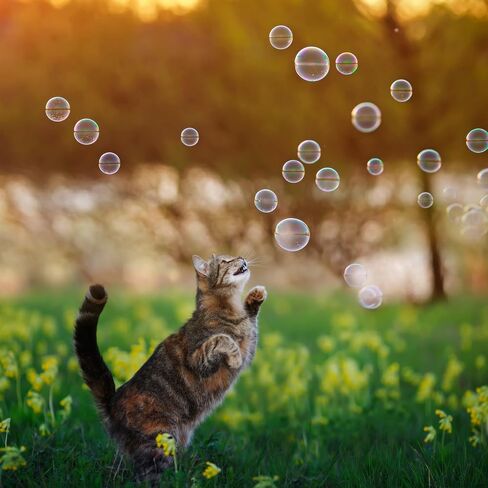 Purrin’ Good Bubbles, لعبة القطط، 9.5 أونصة سائلة من محلول الفقاعات المملوء بالنعناع البري النباتي الطبيعي in Kuwait