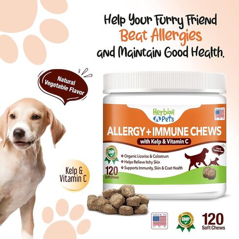 Herbion Pets Joint Care Chews with Glucosamine & Turmeric, 120 Soft Chews, MSM & Chondroitin for Pain Relief, Improves Mobility, Supports Healthy Joints, Made in The USA - for Dogs 12 Weeks+ in Kuwait