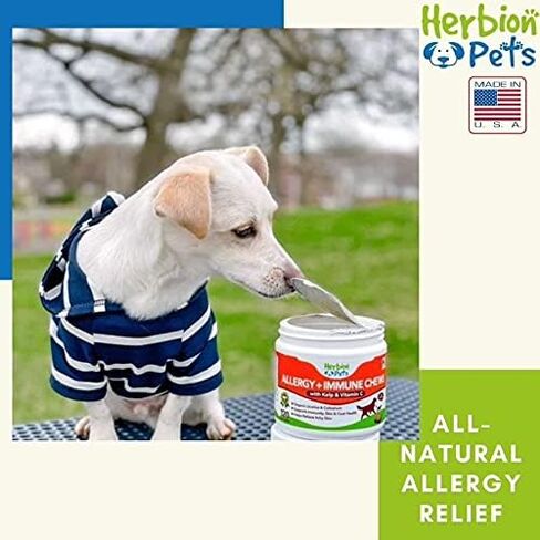 Herbion Pets Joint Care Chews with Glucosamine & Turmeric, 120 Soft Chews, MSM & Chondroitin for Pain Relief, Improves Mobility, Supports Healthy Joints, Made in The USA - for Dogs 12 Weeks+ in Kuwait