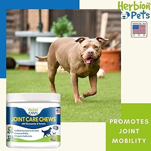 Herbion Pets Joint Care Chews with Glucosamine & Turmeric, 120 Soft Chews, MSM & Chondroitin for Pain Relief, Improves Mobility, Supports Healthy Joints, Made in The USA - for Dogs 12 Weeks+ in Kuwait