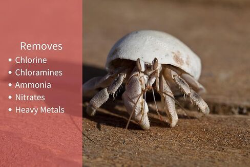 بلسم Snout and Shell الكل في واحد للبرك وأحواض السمك لسرطان الناسك - آمن للأسماك واللافقاريات البحرية في المياه المالحة والنباتات والقشريات - 16 أونصة in Kuwait