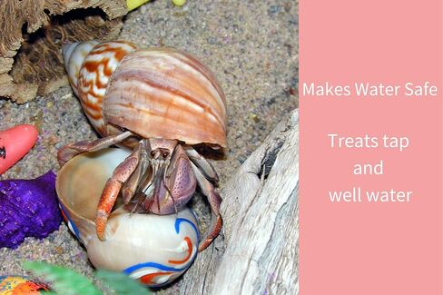 بلسم Snout and Shell الكل في واحد للبرك وأحواض السمك لسرطان الناسك - آمن للأسماك واللافقاريات البحرية في المياه المالحة والنباتات والقشريات - 16 أونصة in Kuwait