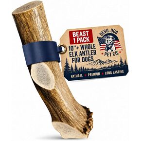 Devil Dog Pet Co Whole Elk Antlers for Dogs, Medium, Aggressive Chewers in Kuwait