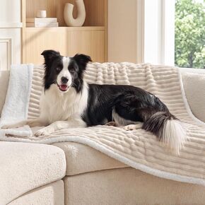 ChiXnuggle Waterproof Dog Blanket for Large Dogs, Grey, XL(50"x60") in Kuwait