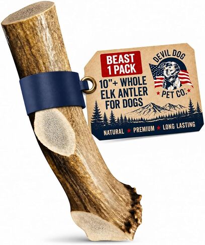 Devil Dog Pet Co Whole Elk Antlers for Dogs, Medium, Aggressive Chewers in Kuwait