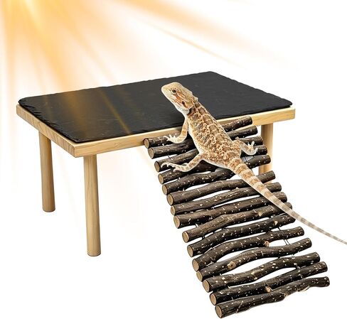 VCEPJH Wooden Bearded Dragon Basking Platform with Climbing Ramp, XL in Saudi Arabia