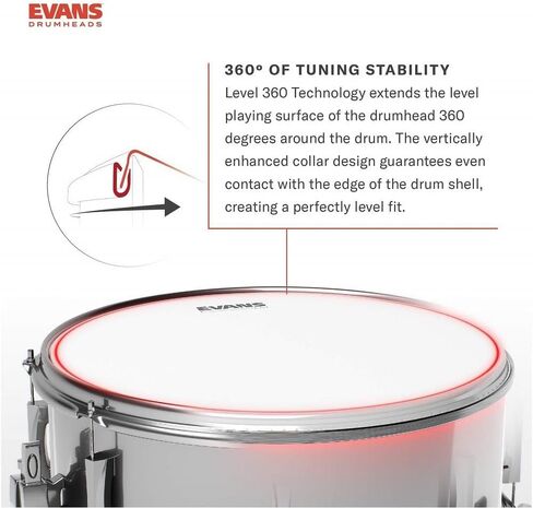 Evans Power Center Reverse Dot Drum Head, 10 Inch in Kuwait
