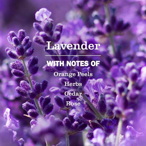 MRS. MEYER'S CLEAN DAY Soy Candle Lavender, 7.2 OZ in Saudi Arabia