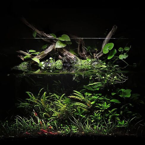 Ultum Nature Systems Controsoil - Freshwater Aqua Soil Substrate for Fish, Shrimp, Live Plant Propagation and Aquascaping - 6.8pH Low Ammonia, Volcanic Ash - Black, Normal (3 Liter) in Kuwait