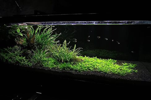 Ultum Nature Systems Controsoil - Freshwater Aqua Soil Substrate for Fish, Shrimp, Live Plant Propagation and Aquascaping - 6.8pH Low Ammonia, Volcanic Ash - Black, Normal (3 Liter) in Kuwait