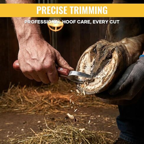 Hoof Knife with Sharpener, 2 PCS Professional Farrier Kit, Curved Stainless Steel Trimming Knife & 400/800 Grit Diamond Rod, Ergonomic Wood Handle, Rust-Resistant for Horses, Cattle in Kuwait