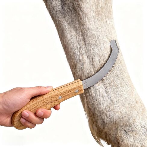 Bot Egg Knife for Horses, Precision Grooming for Bot Egg Removal Stainless Steel Blade with Wooden Handle Horse Equine Tack Care Farrier Tool in Saudi Arabia