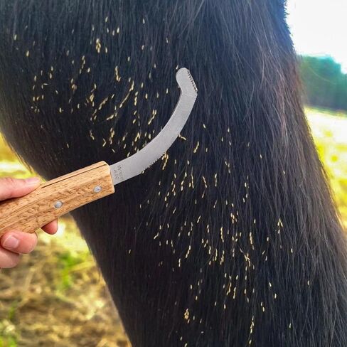 Bot Egg Knife for Horses, Precision Grooming for Bot Egg Removal Stainless Steel Blade with Wooden Handle Horse Equine Tack Care Farrier Tool in Saudi Arabia